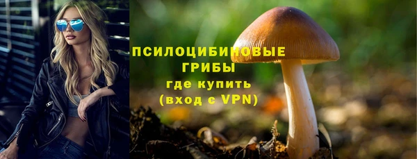 меф Гусев
