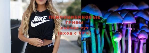 меф Гусев