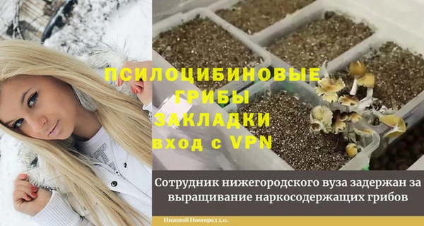 меф Гусев