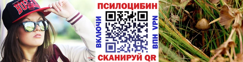 Купить где Сковородино Галлюциногенные грибы MAGIC MUSHROOMS